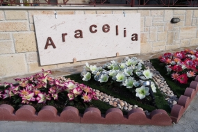 Aracelia Casas de Verano