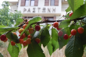Ξενώνας Ραστώνη
